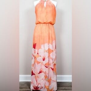 Bisou Bisou | Dresses| maxi dress size 2